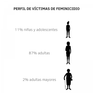 Perfil de víctimas de femicidio