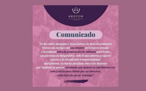 ABOFEM detenciones