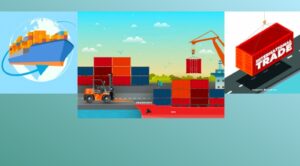 claims seguros