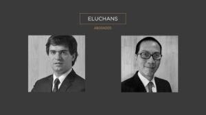 Eluchans