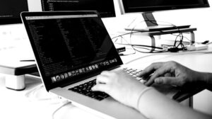 asistente virtual DPP