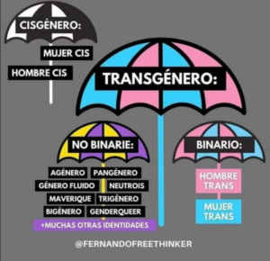 Cédula No Binaria