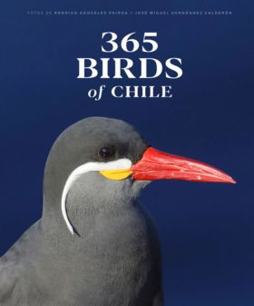 365 Birds of Chile